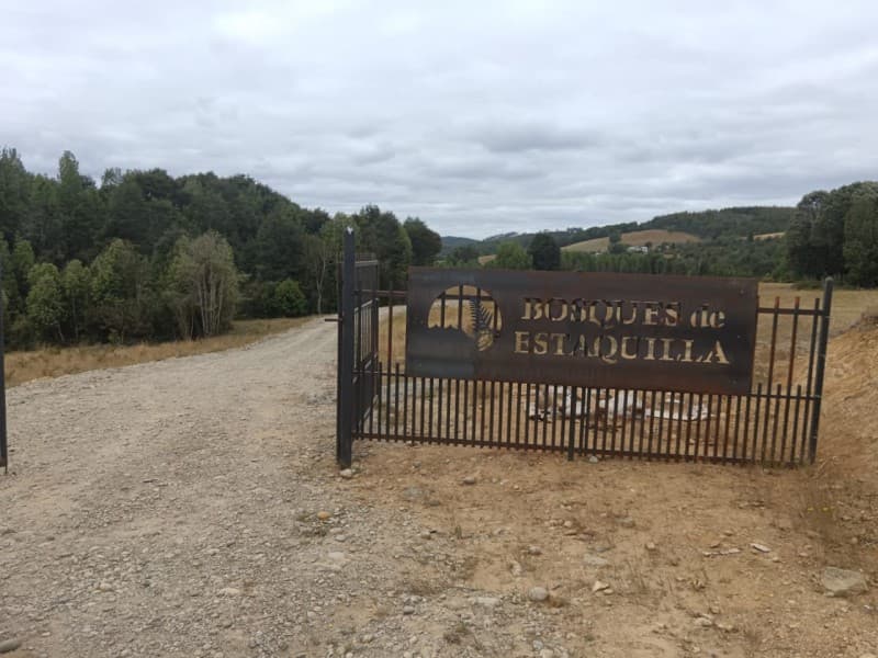 Parcela en Los Muermos
