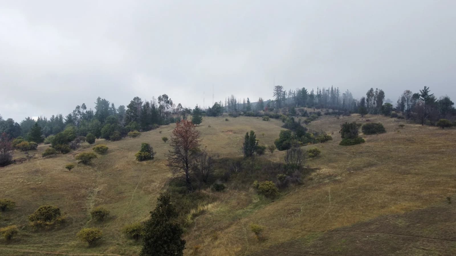 Parcela en Ránquil
