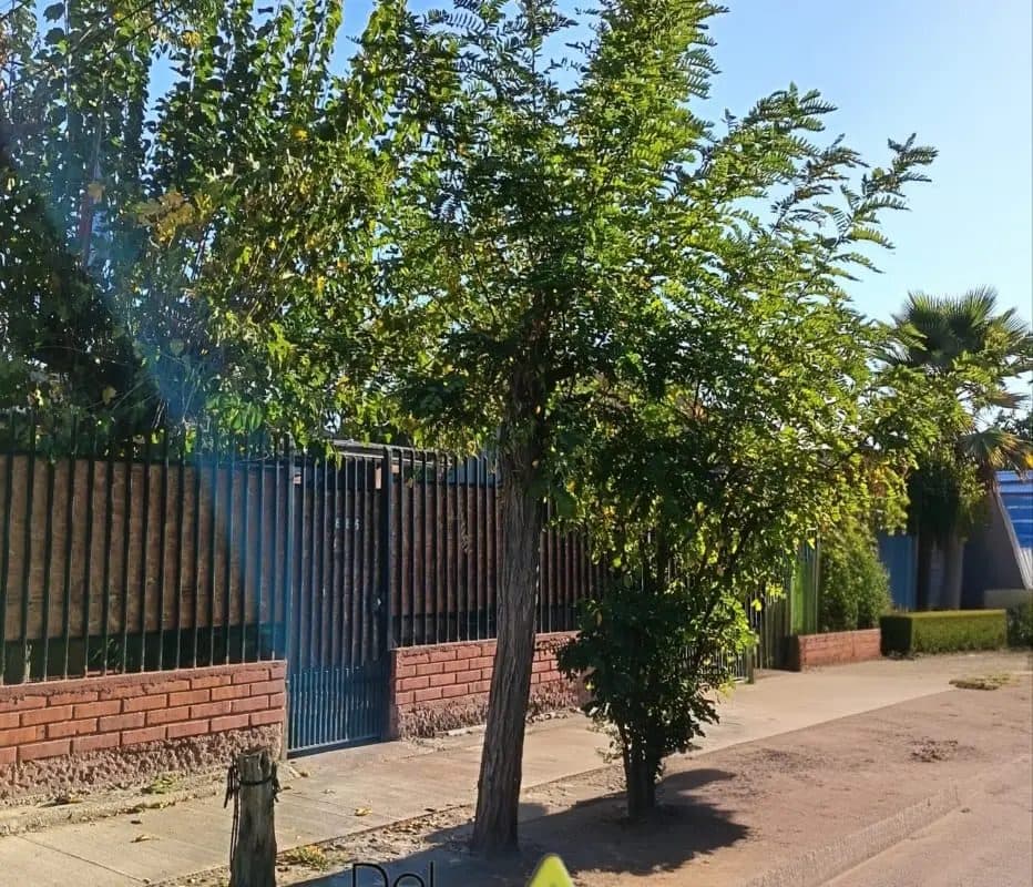Casa en El Bosque