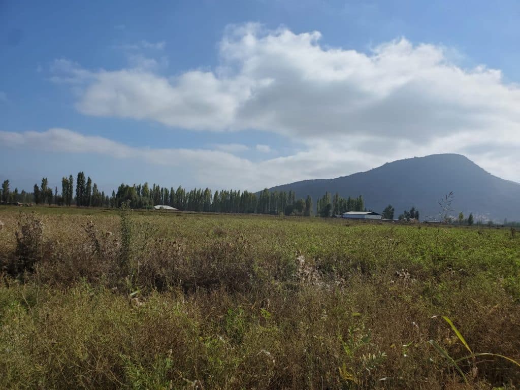 Terreno en venta, San Vicente