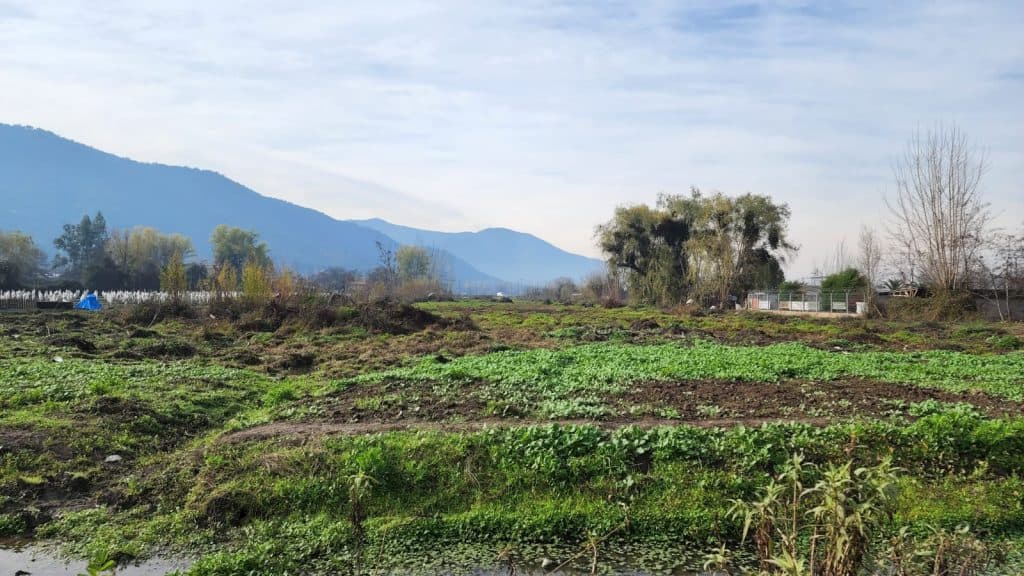 Terreno en venta, Las Cabras