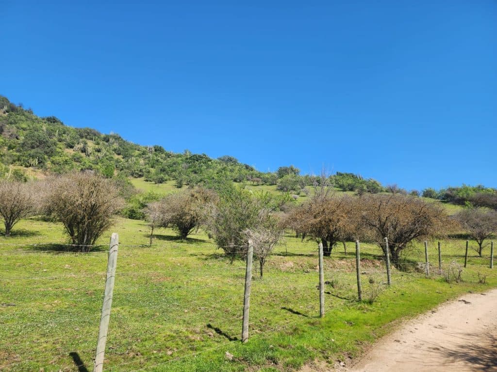 Terreno en venta, Las Cabras