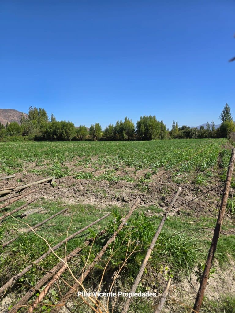 Terreno en Coltauco