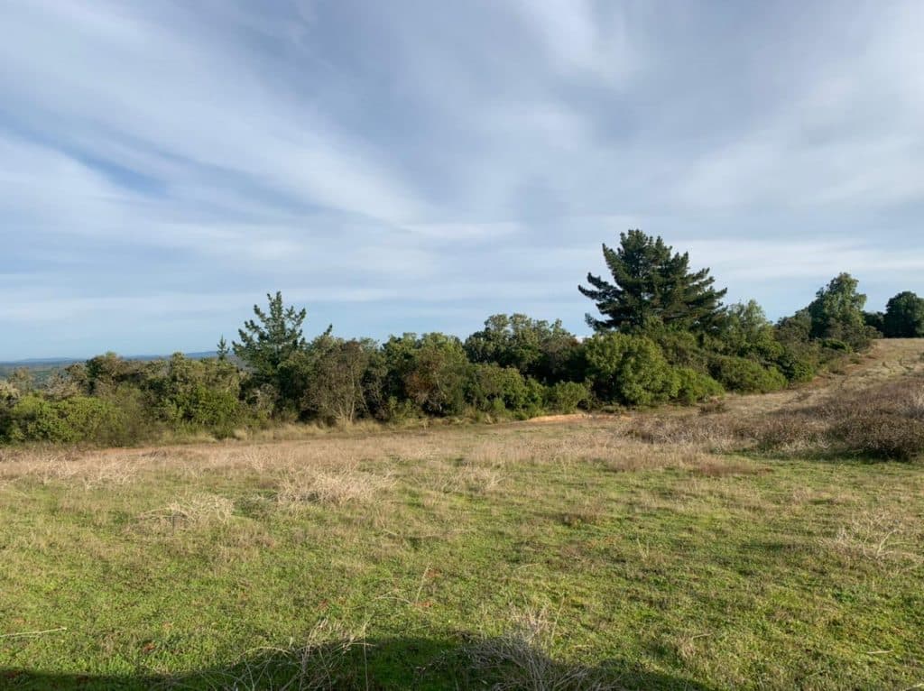 Terreno en venta, Puertecillo