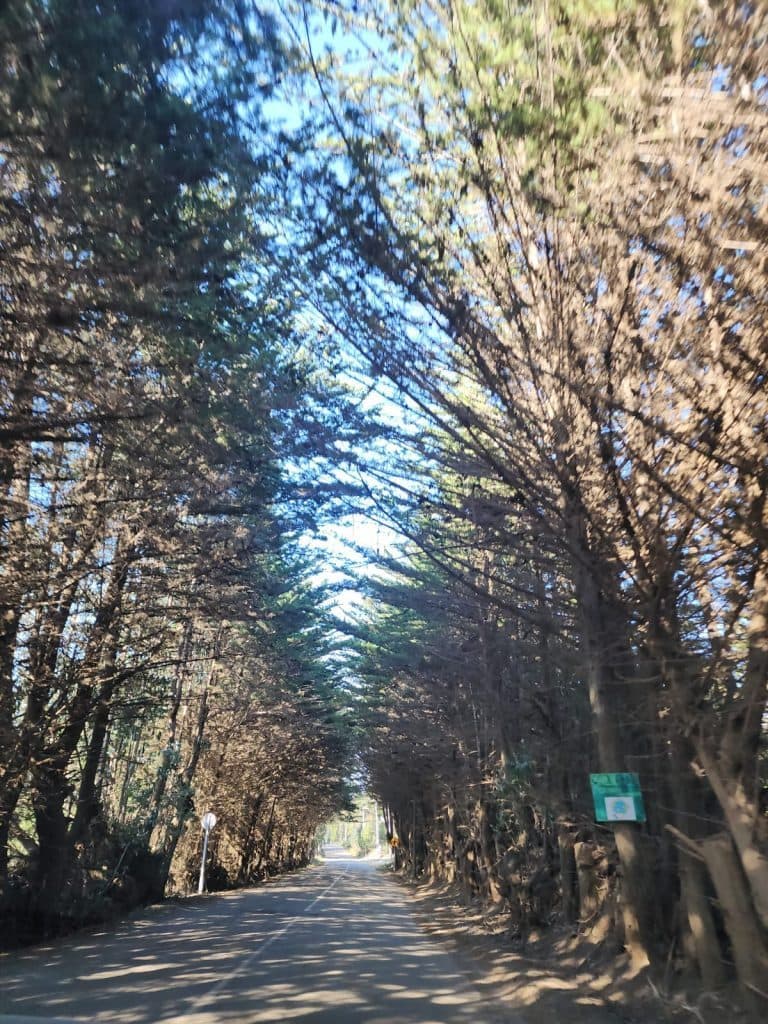 Terreno en venta, Pichilemu
