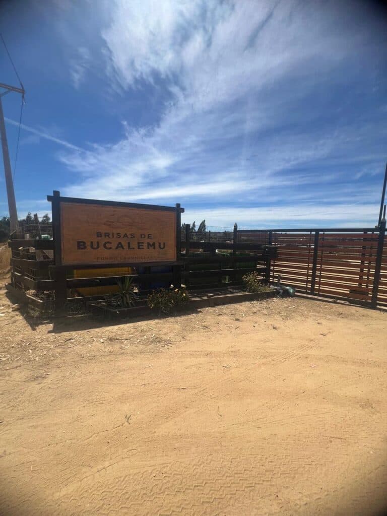 Terreno en venta, Bucalemu
