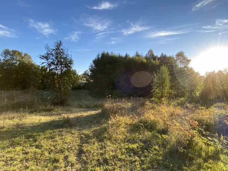 Parcela en venta, Villarrica