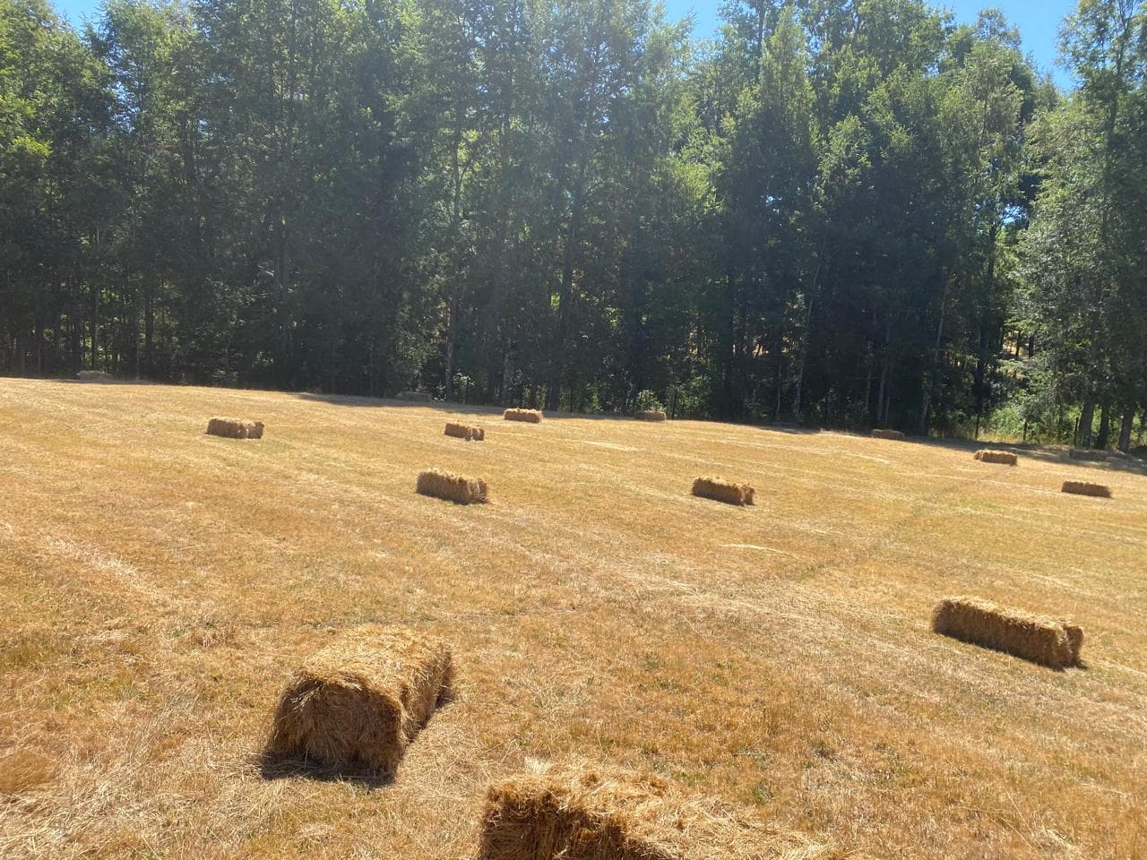 Parcela en venta, Villarrica