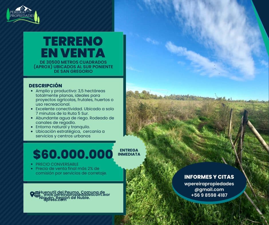 Terreno en venta, Ñiquén