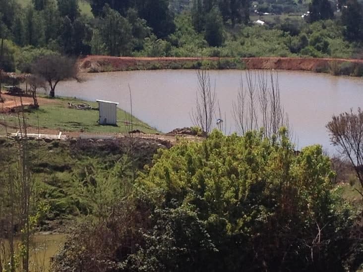 Campo en Litueche