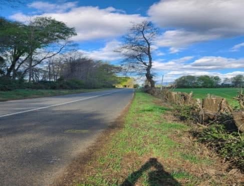 Campo en San Ignacio