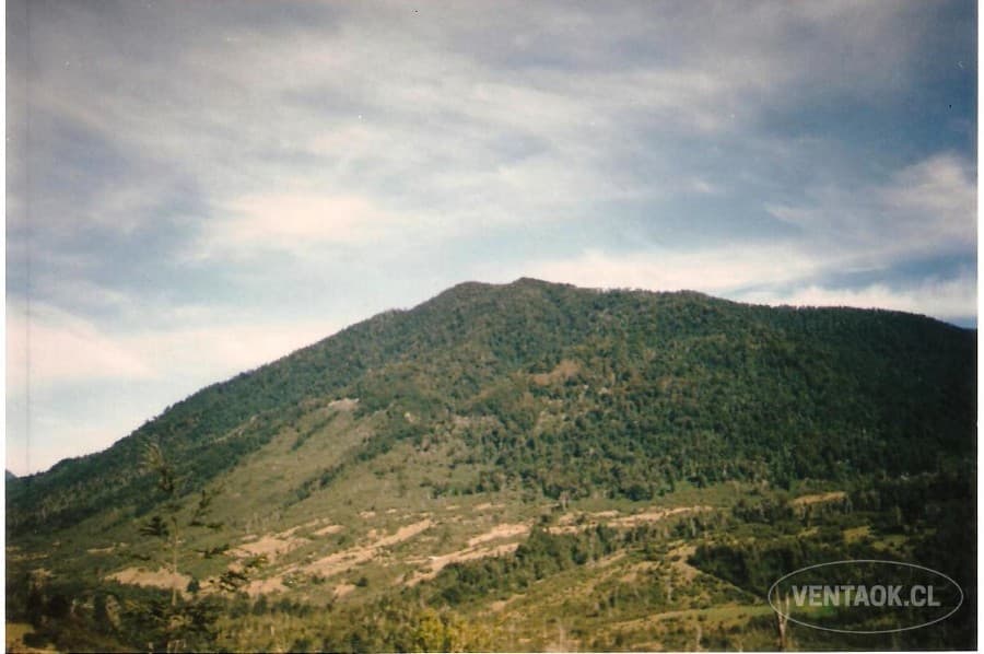 Campo en Futrono