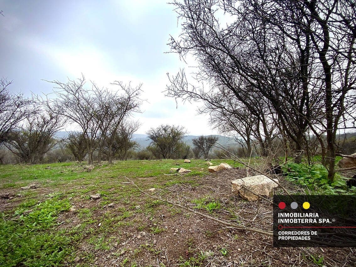 Parcela en Limache