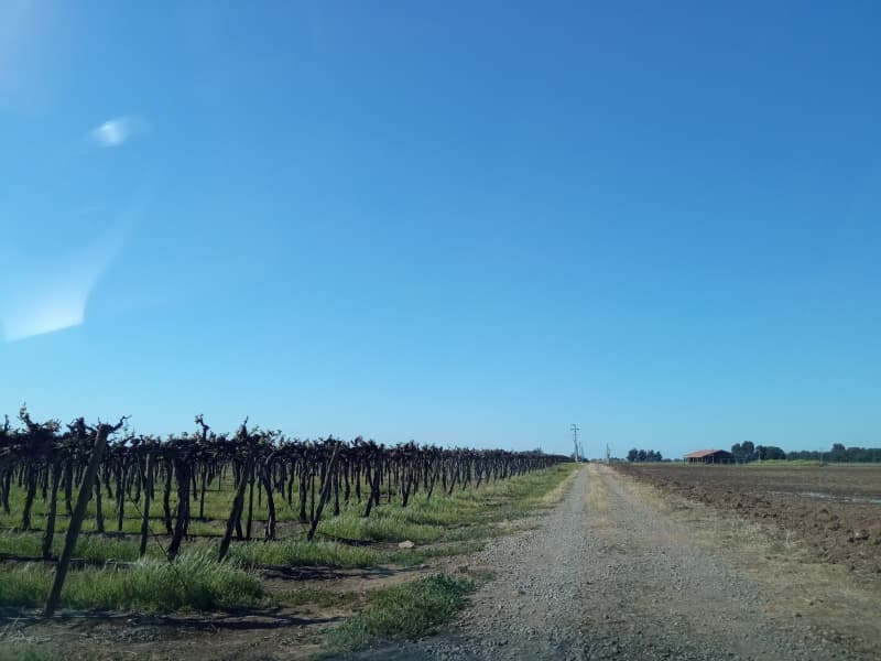 Terreno en San Clemente