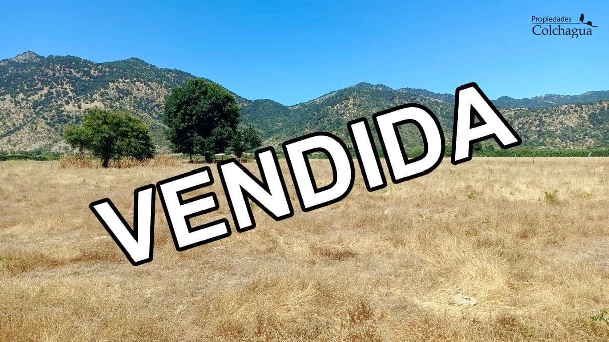 Terreno en Chépica