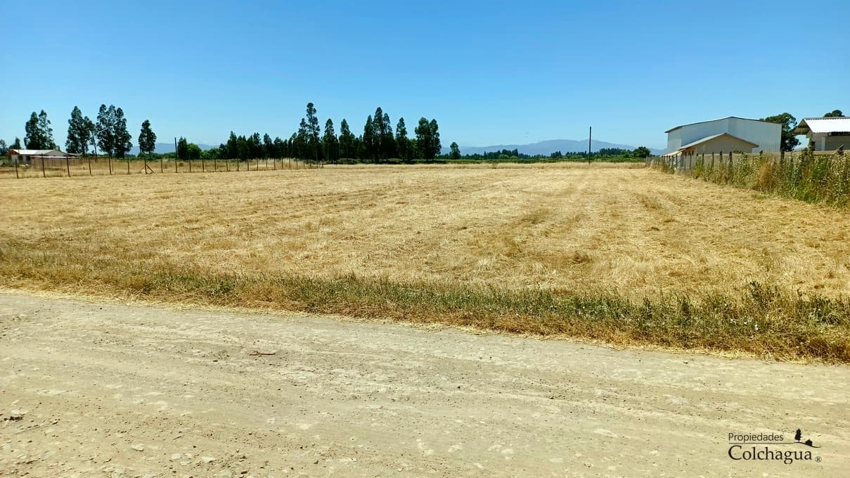 Terreno en Peralillo