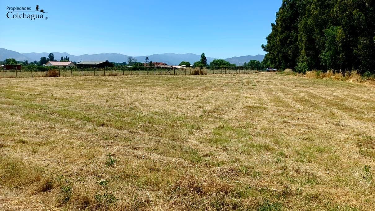 Terreno en Palmilla