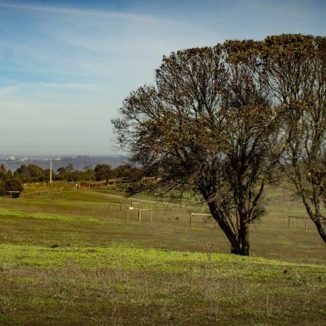 Terreno en Quintero