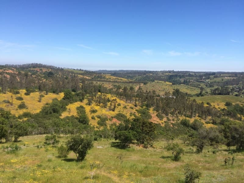 Parcela en Algarrobo