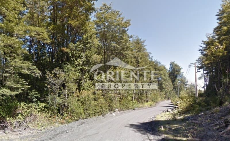 Parcela en Panguipulli