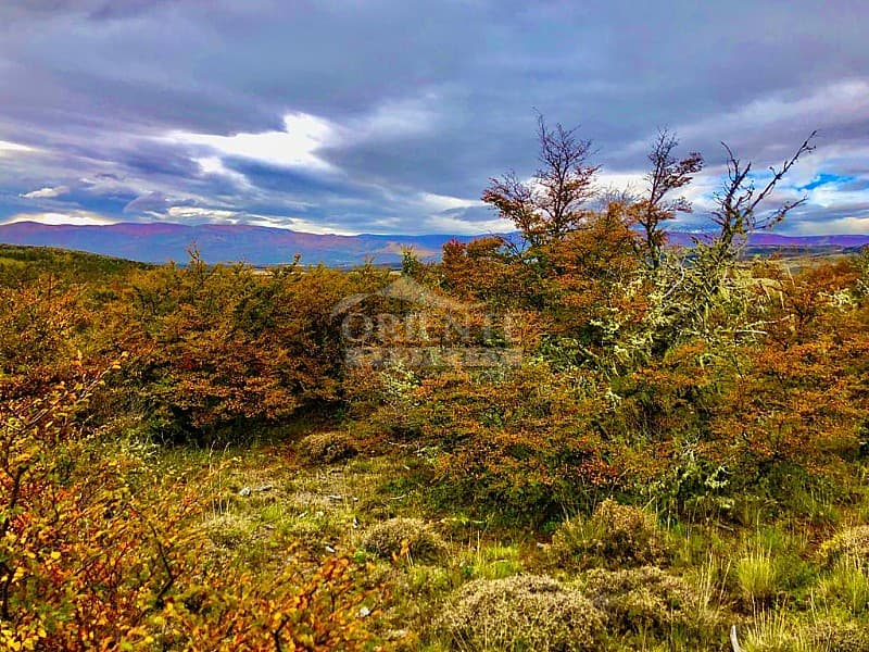 Parcela en Aysén