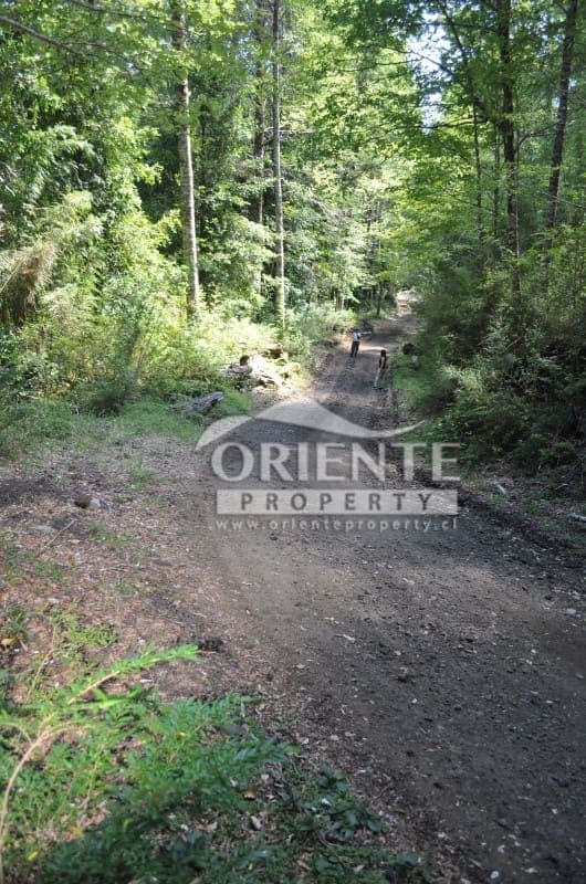 Terreno en Panguipulli