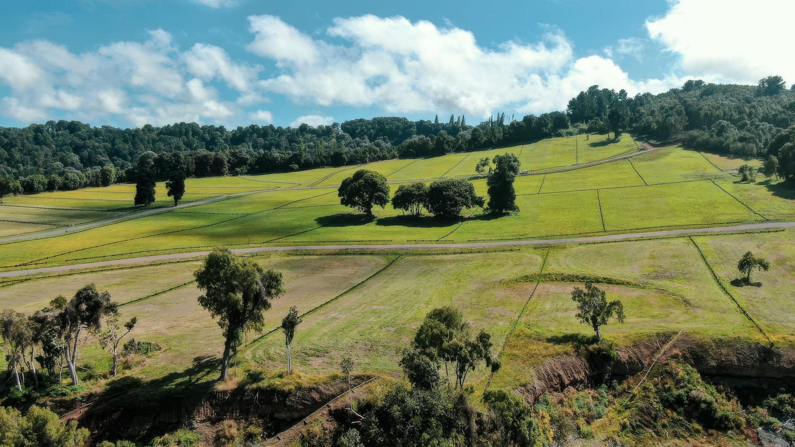 Altos Puyehue