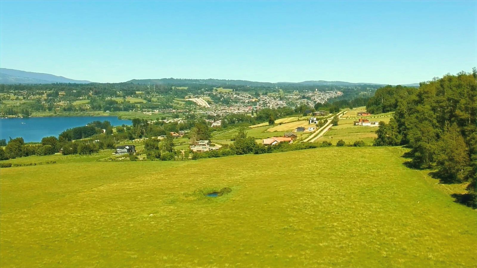 Flor del Lago